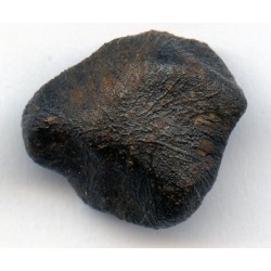 Camel Donga Meteorite