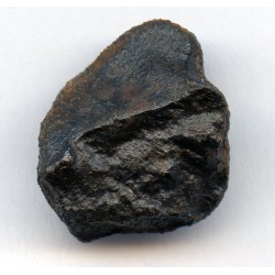 Oriented Camel Donga Meteorite