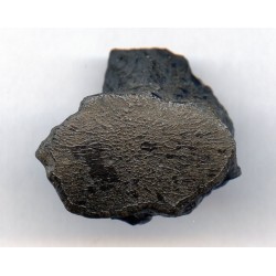 Martian meteorite fall