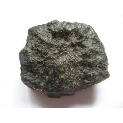 Oriented Martian Meteorite / 101.90g