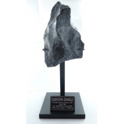 Meteorite from the Meteor Crater 1108g