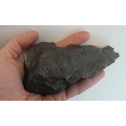 Gibeon Meteorite