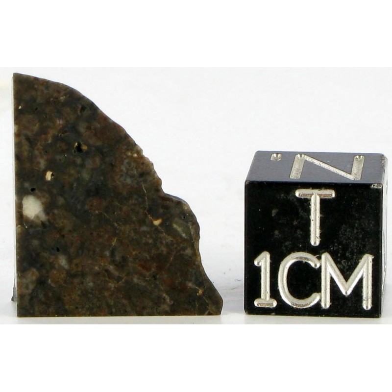 Shisr 166 / Lunar Meteorite
