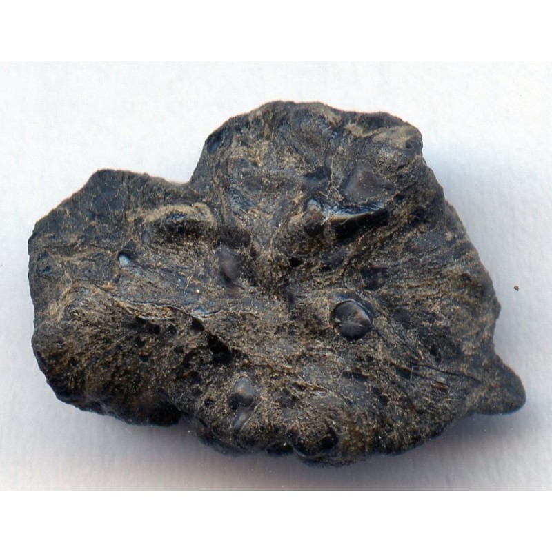 Oriented Tissint martian meteorite
