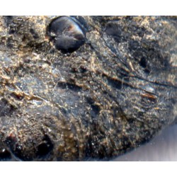 Flow lines on Tissint martian meteorite
