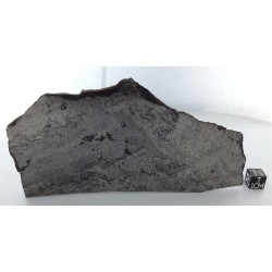 Isheyevo Meteorite 194 g