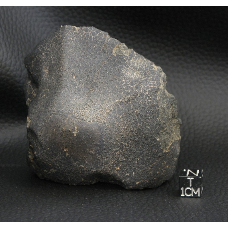 Jbilet Winselwan Meteorite oriented