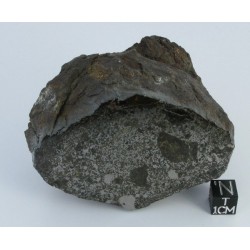 Vaca Muerta Meteorite / End cut 494.6g