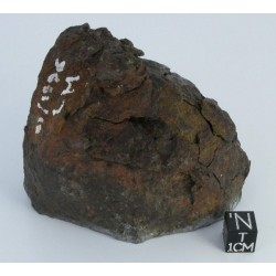 Vaca Muerta Meteorite / End cut 494.6g
