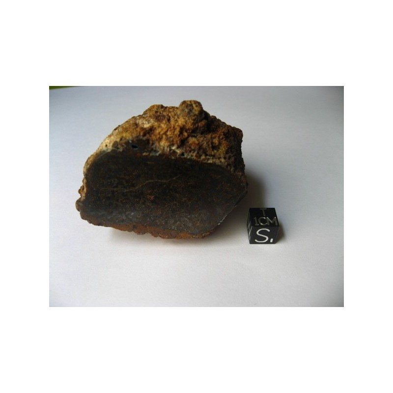 Dalgaranga meteorite / Mesosiderite / Large half individual 182.5g