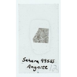 Angrite / SAH99555 / Microprobe Polished Thin Section