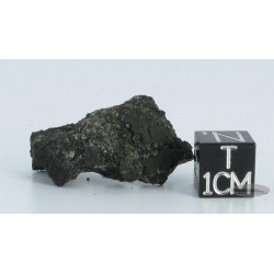 Ivuna / Carbonaceous Chondrite CI1