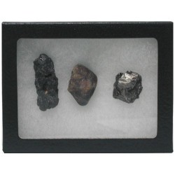 2 Meteorites + 1 Tektite