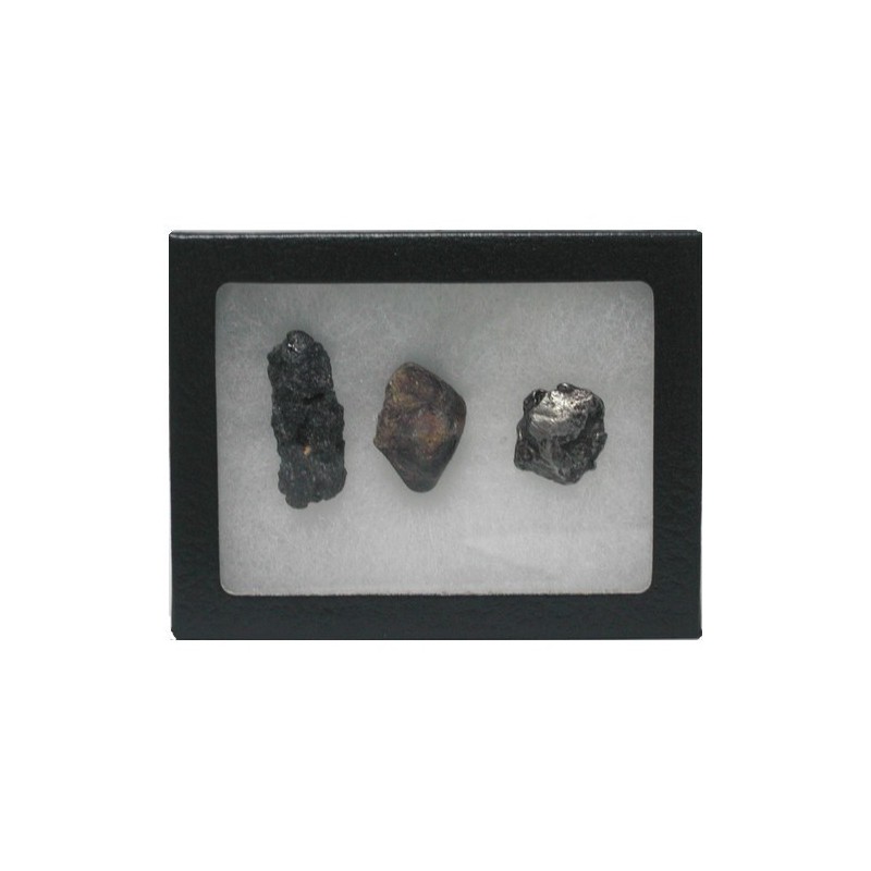 2 Meteorites + 1 Tektite
