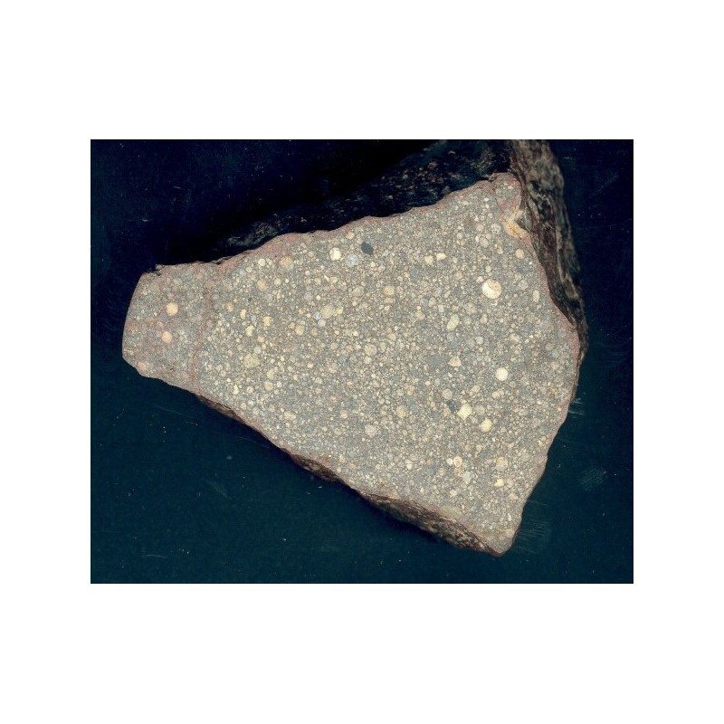 Chondrite LL/ (L)3.5 / Sahara 98035
