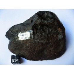 Chondrite LL3.5  Sahara 98175