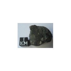 Allende, carbonaceous chondrite CV3, weight 22.30 g