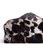 Ahumada pallasite was found in Chihuahua Mexico