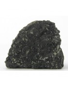 Chassigny is a martian meteorite