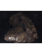 The Winona meteorite was recovered from a stone cist on an Indian burrial ground