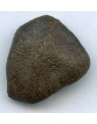 Camel Donga Meteorites