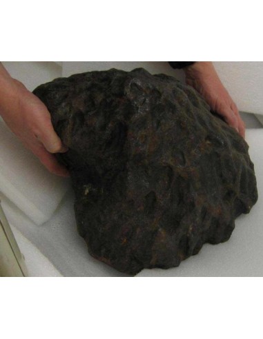 Largest Meteorite