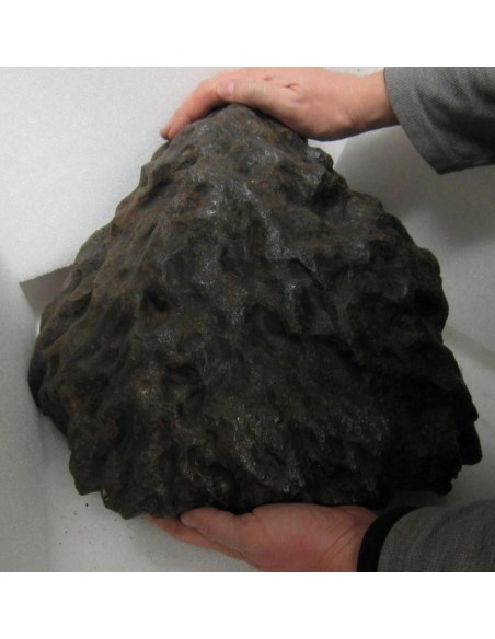 Largest Meteorite
