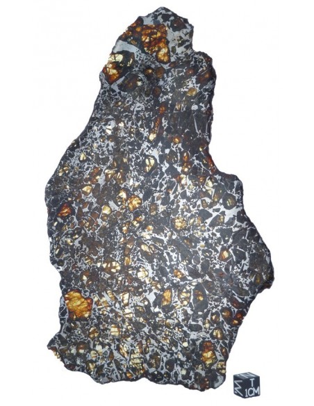 Albin Pallasite