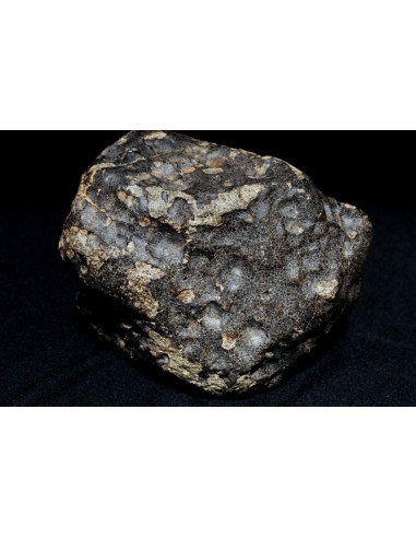 Large chondrite Unclassified