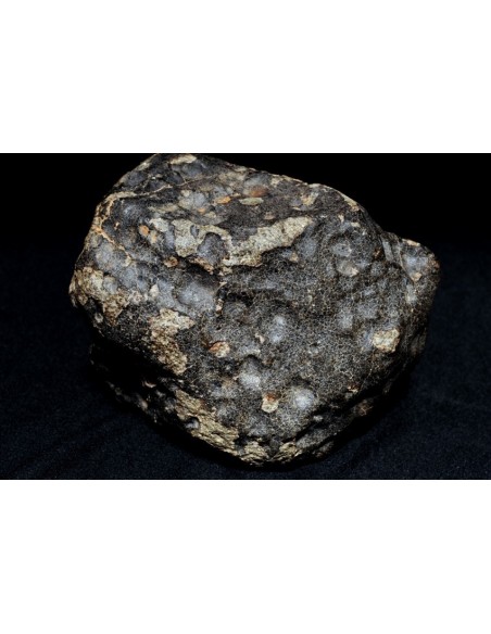 Large chondrite Unclassified