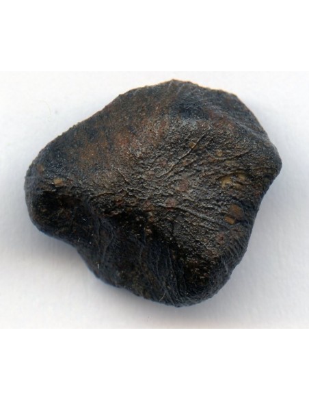 Oriented Meteorite Camel Donga