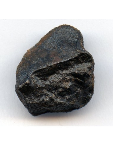 Oriented Meteorite Camel Donga