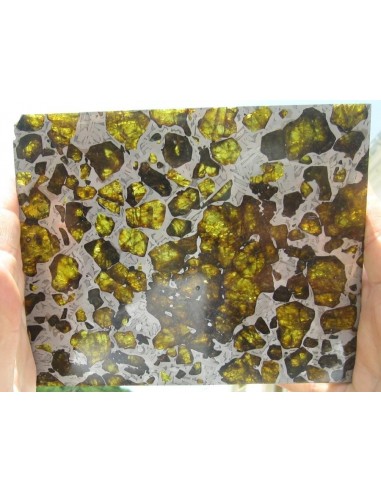 Fukang Pallasite