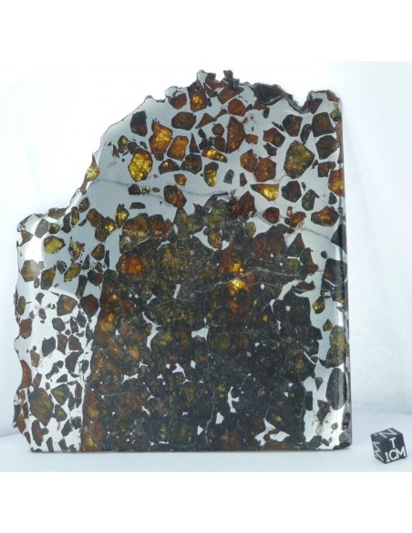 Esquel Pallasite