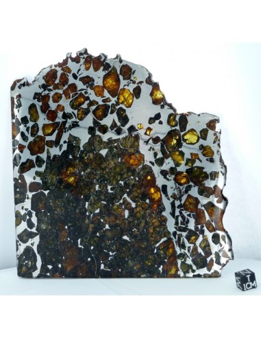 Esquel Pallasite