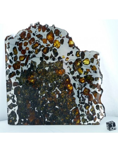 Esquel Pallasite