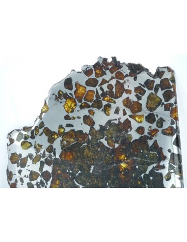 Esquel Pallasite