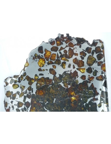 Esquel Pallasite