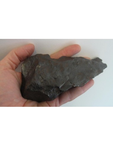 Gibeon Meteorite
