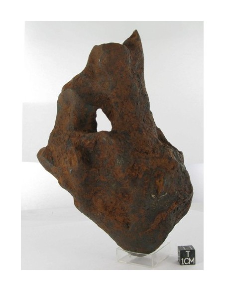 Taza Oriented Meteorite