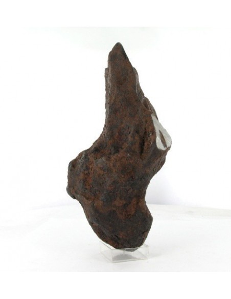 Taza Oriented Meteorite