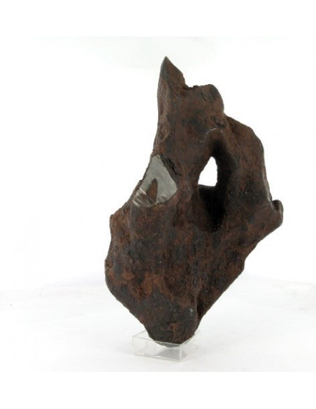 Taza Oriented Meteorite