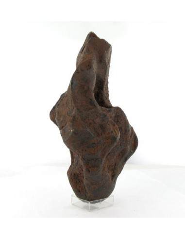 Taza Oriented Meteorite