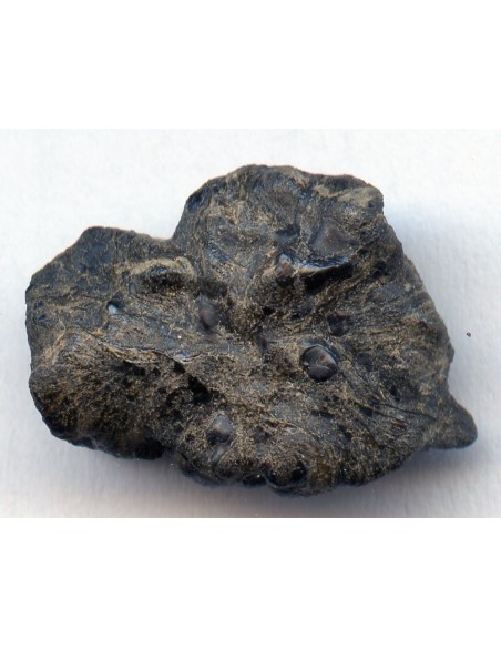 Tissint martian meteorite oriented
