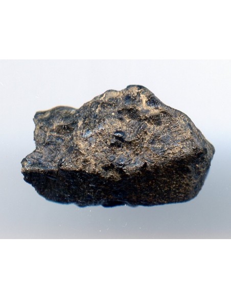 Tissint martian meteorite oriented