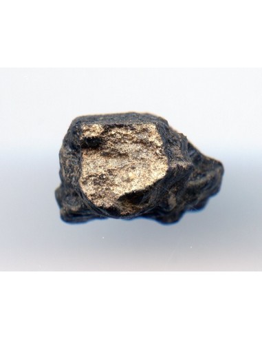 Tissint martian meteorite oriented
