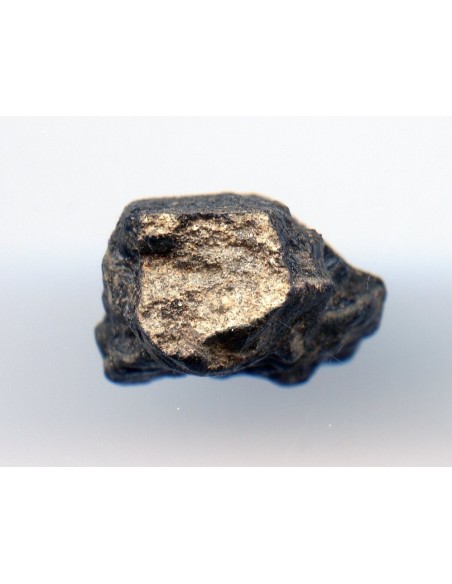 Tissint martian meteorite oriented