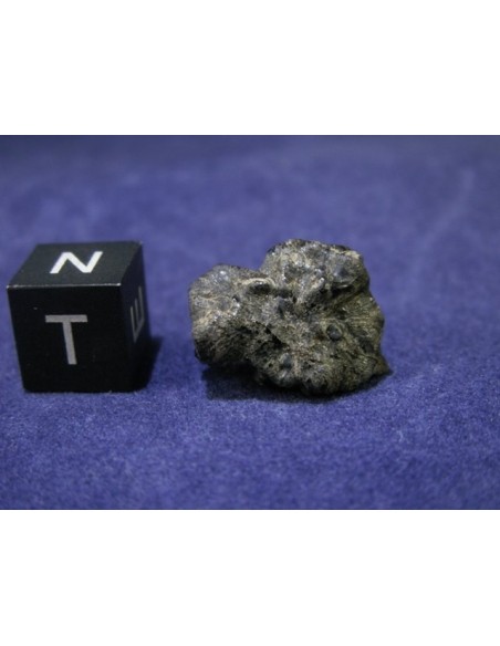 Tissint martian meteorite oriented