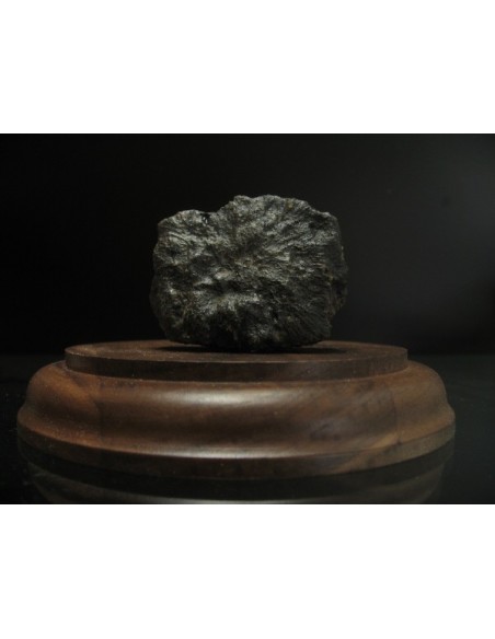 Oriented martian meteorite for sale