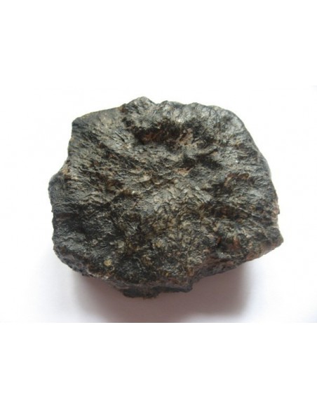 Oriented martian meteorite for sale